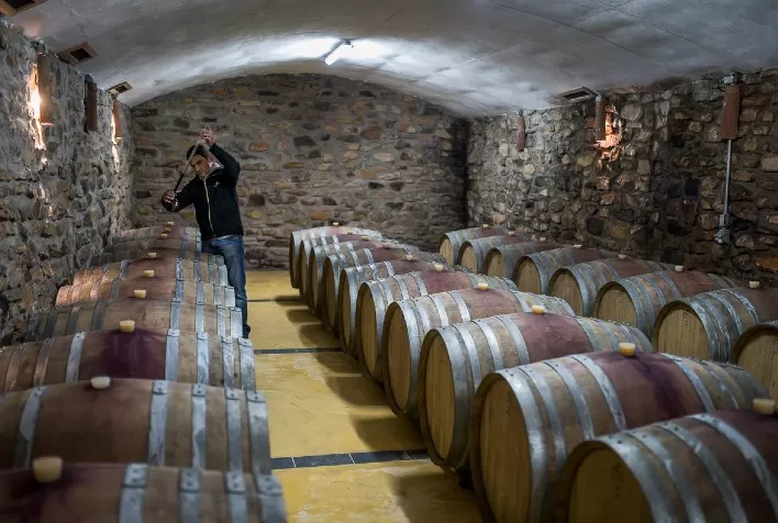 França investirá US$ 170 mi para converter excedente de vinho em álcool industrial
