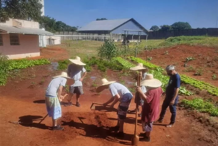 Emater atua para reinserção de adolescentes que cumprem medidas socioeducativas à sociedade
