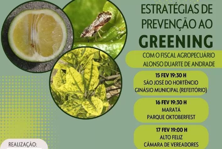 Fiscais agropecuários capacitam citricultores a identificar sintomas do greening