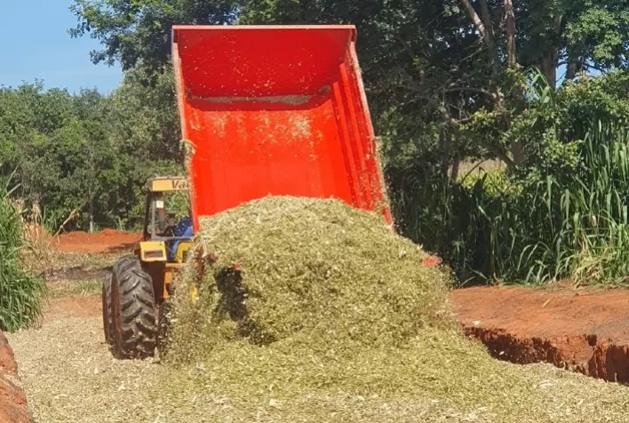 Produção de milho para silagem é tema de Dia de Campo no Noroeste de Minas Gerais