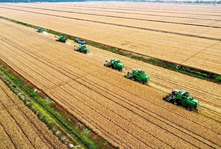 Agricultores podem obter dinheiro com juros a partir de 1,35% ao mês