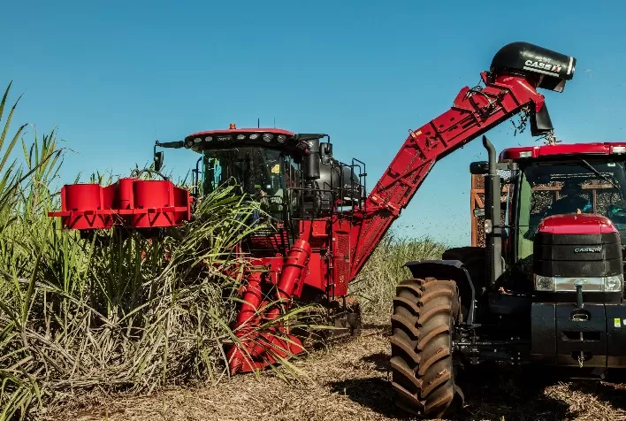 Produtores buscam mecanizar colheita para aumentar produtividade da cana-de-açúcar