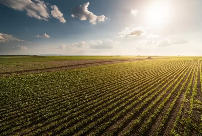 Resiliência e confiança na terra