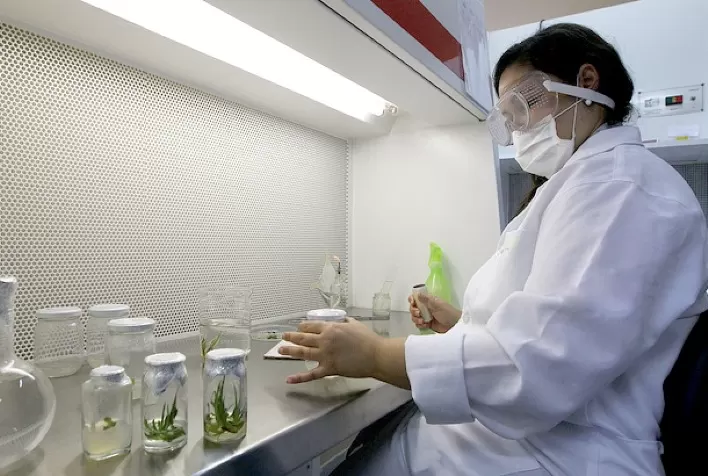 Bioinseticidas levam mais da metade dos registros