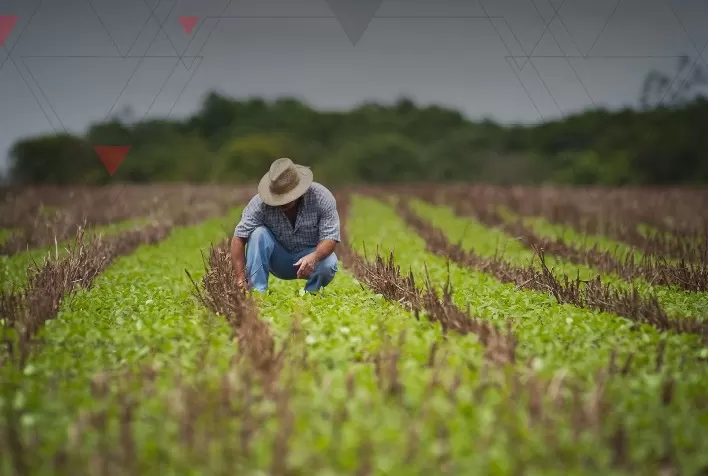 Inadimplência atinge 24,4% dos produtores rurais no Sudeste do país, revela Serasa Experian