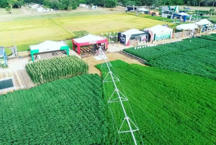 Irrigação é alternativa aos arrozeiros na produção de novos cultivos