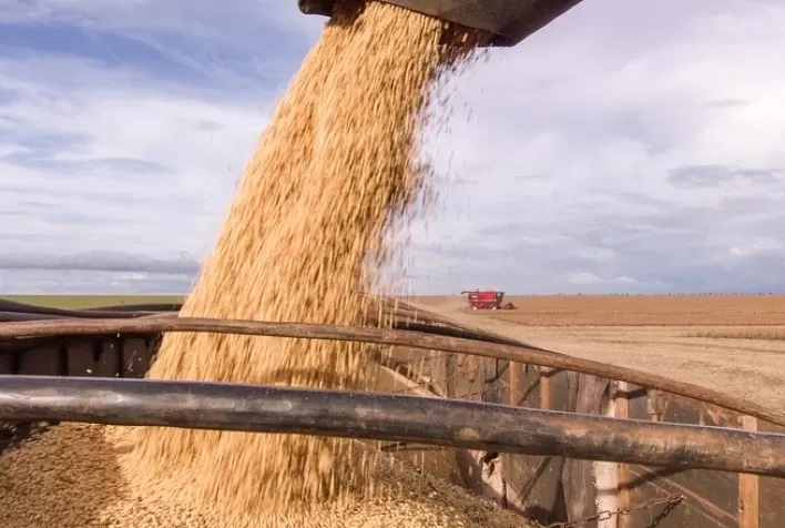 Colheita de soja do Paraná atinge 7% da área, plantio de milho 2ª safra 12%, diz Deral