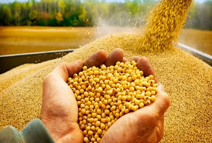 Soja trabalha em baixa na CBOT nesta 4ª acompanhando baixa geral das commodities