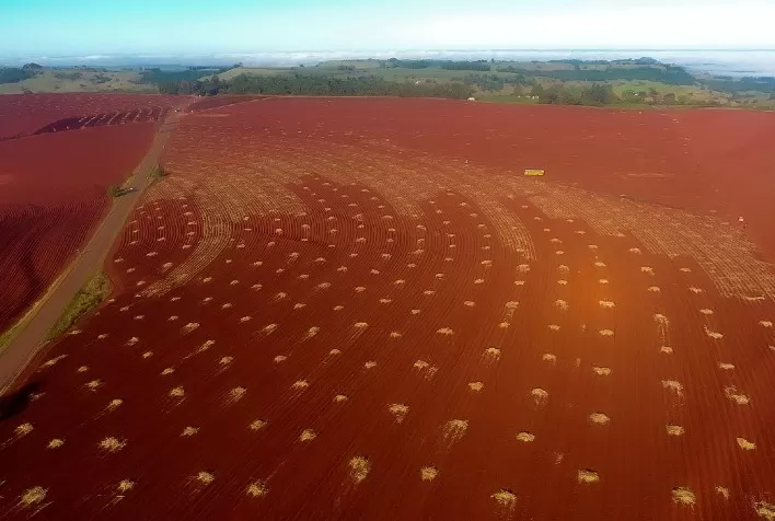 Tecnologia permite aumento de produção com o mínimo impacto ambiental