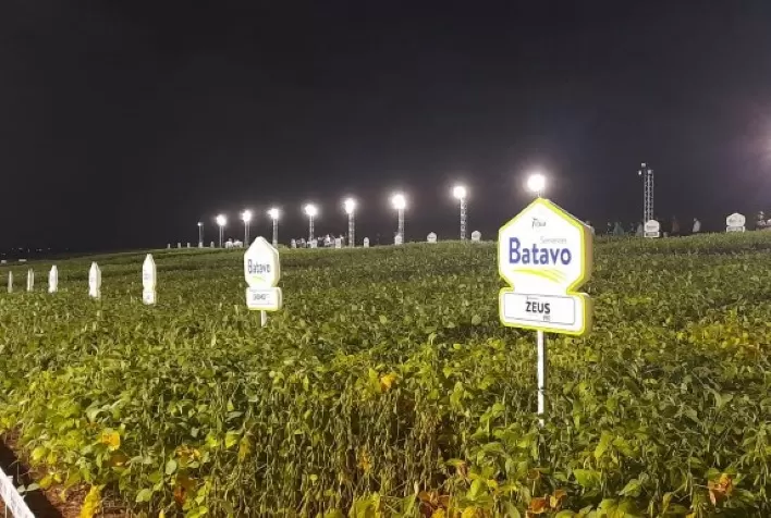 FRÍSIA: Faltam poucos dias para a realização da “Noite da Soja Sementes Batavo”
