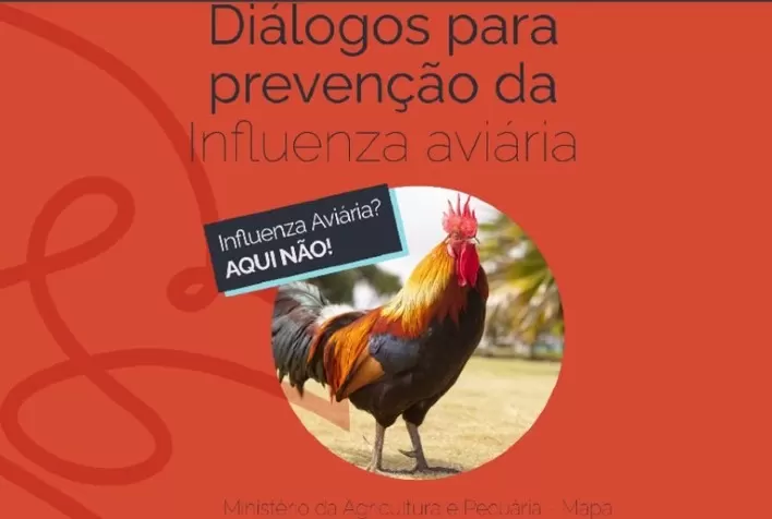 Prevenção à influenza aviária ganha livro digital com material multimídia do Mapa