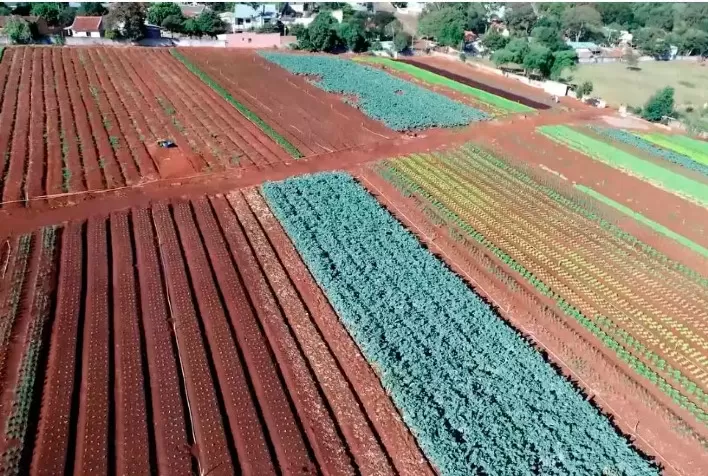 Hortifruti: Mais um ano de La Niña no Brasil