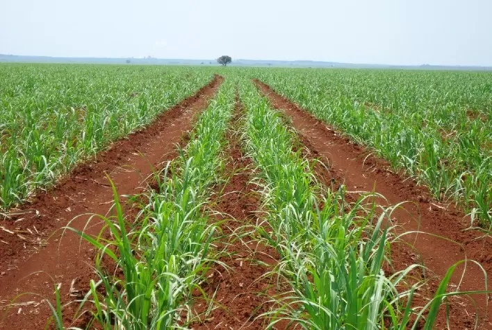 Valor Bruto da Produção agropecuária mineira deve alcançar R$ 132,1 bilhões neste ano