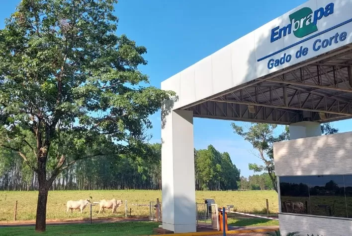 Com inscrições abertas, Dinapec se prepara para 15ª edição