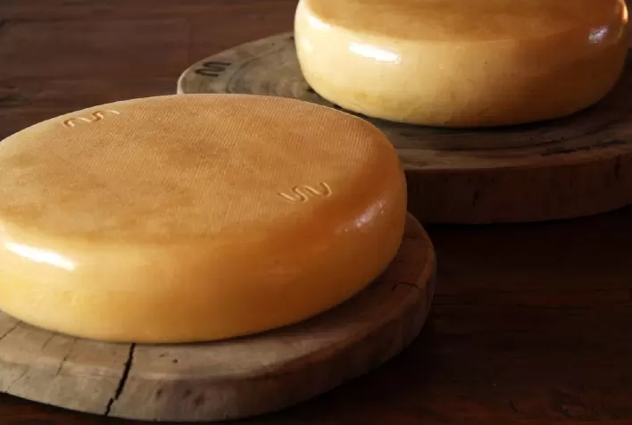 Queijo Minas Artesanal da Canastra é destaque no guia gastronômico Taste Atlas pelo segundo ano consecutivo