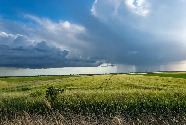 Compliance ambiental pode contribuir para descarbonização do agro