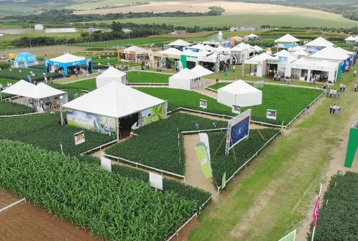 Portfólio para grãos é foco de dia de campo no Paraná