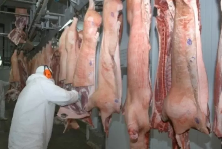 Suíno para abate alcança 38,5% do valor dispendido pelos consumidores na aquisição de carne suína