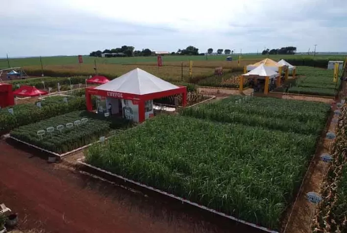 Ubyfol marca presença na Coplacampo com foco nas culturas de milho, soja, amendoim e cana