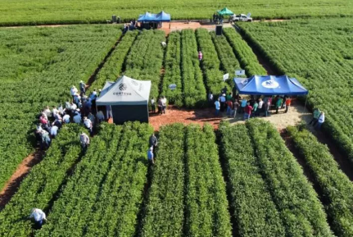COCAMAR: Dias de Campo movimentam cooperados em todas as regiões