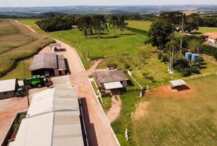 Cooperado da Frísia comercializa créditos de soja sustentável para empresas da Dinamarca e da Alemanha