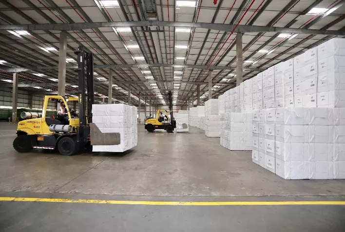 Empresa de celulose é condenada por dispensa discriminatória de empregado com quadro de aracnofobia