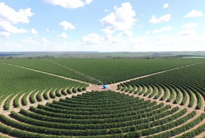 Adjuvante com alta tecnologia será apresentado à cafeicultores da Alta Mogiana