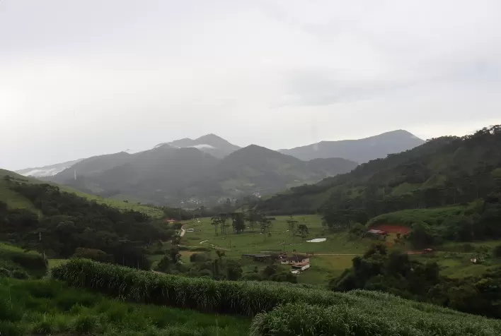 Começo de ano com bons resultados no ATeG em Minas
