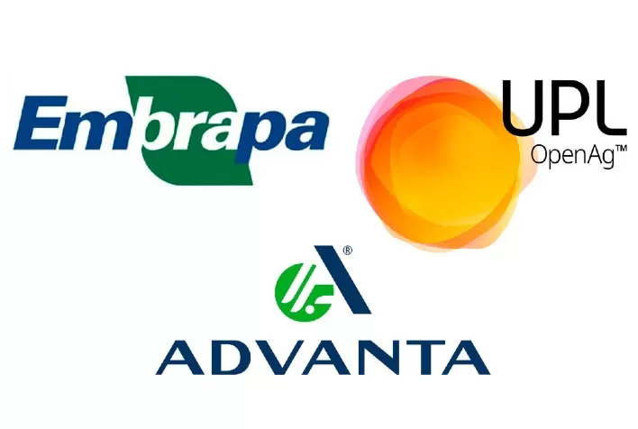 UPL anuncia parceria entre Advanta e Embrapa para desenvolver sementes híbridas de canola
