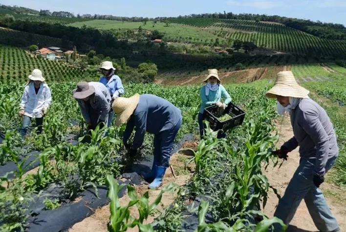 Edital do Programa de Aquisição de Alimentos prevê investimentos para Agricultura Familiar em Rondônia