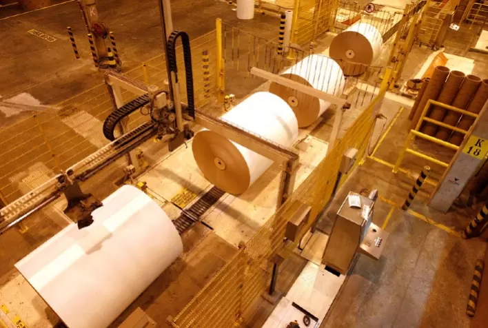 Brasil passa a contabilizar carbono de produtos florestais madeireiros