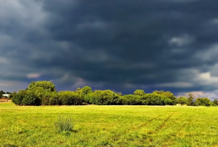 AGRICULTURA: Boletim do IDR-Paraná mostra situação das lavouras após excesso de chuvas em fevereiro