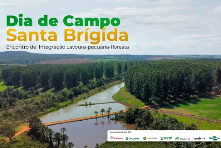 Dia de campo sobre ILPF em Ipameri (GO) volta a ser realizado no formato presencial