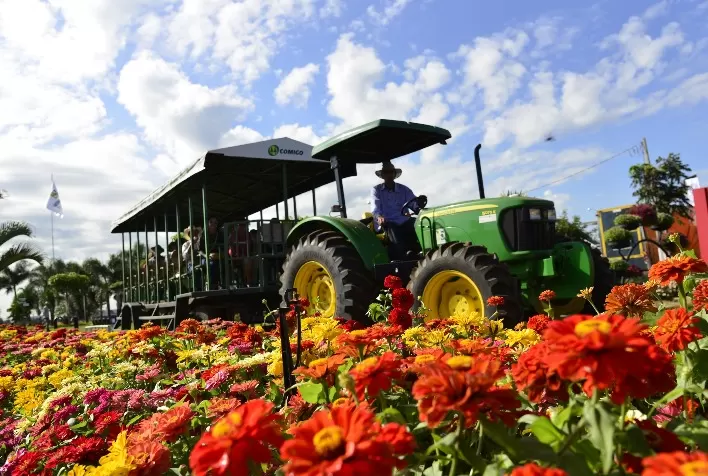 70 mil mudas de flores e plantas variadas vão compor o paisagismo da Tecnoshow Comigo 2023