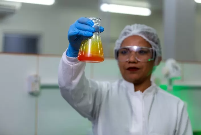 Óleo de palma muda a realidade de trabalhadoras no Norte brasileiro