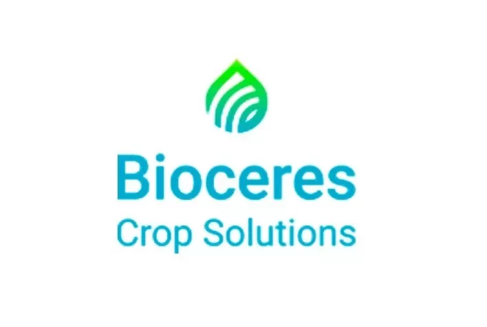 Bioceres vai vender trigo transgênico na Argentina em 2023 após aprovação no Brasil