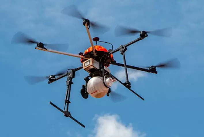Drones ajudam a quantificar produção de arroz