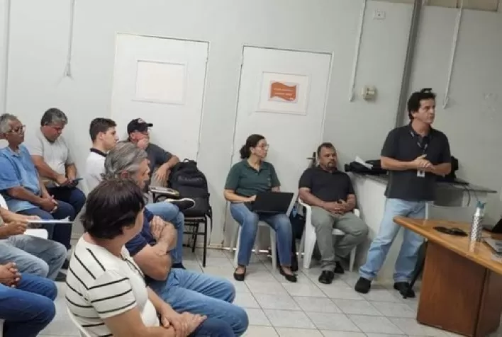São Paulo intensifica ações para prevenir gripe aviária em granjas