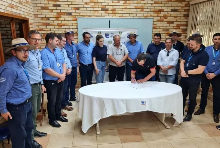 Investimento na suinocultura é aposta de agricultores