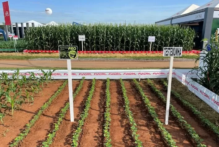 Show Safra apresenta tecnologias contra estresse hídrico na soja