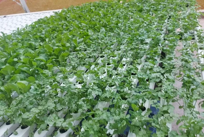 Banco Agro firma parceria com embaixada de Israel para favorecer agricultura familiar brasileira