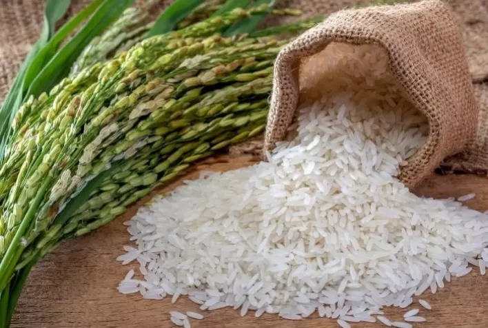 Rio Grande do Sul tem melhor ritmo de comercialização para o arroz