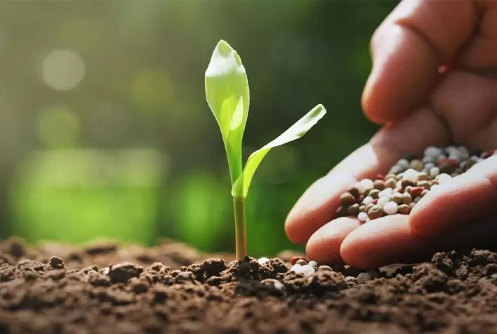 Com forte dependência do mercado externo, setor nacional de fertilizantes enfrenta desafios