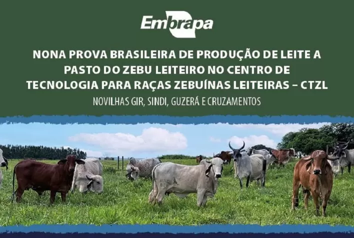 9ª edição da Prova de Leite a Pasto no DF abre inscrições em junho; novilhas devem ser inseminadas ou cobertas até 10 de abril