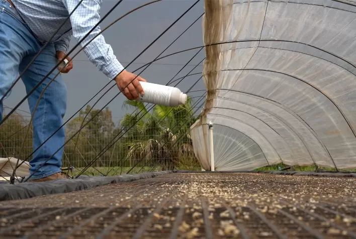 Promip leva biológicos para o combate de pragas na cultura do tabaco para a Expoagro Afubra