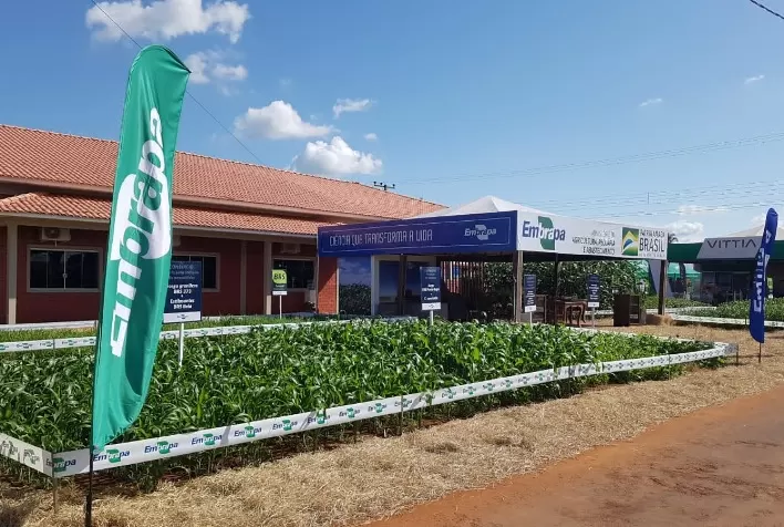 Embrapa lança três cultivares de soja na Tecnoshow