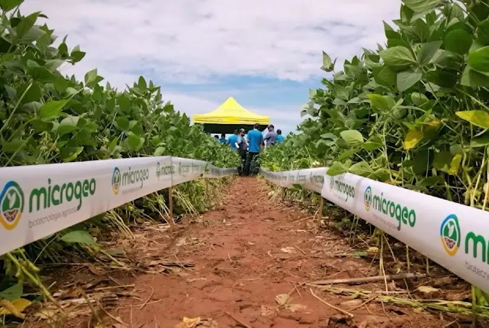 2º Rally Microgeo reúne profissionais do agro no Maranhão para comprovar benefícios do manejo biológico com a Biotecnologia Microgeo®
