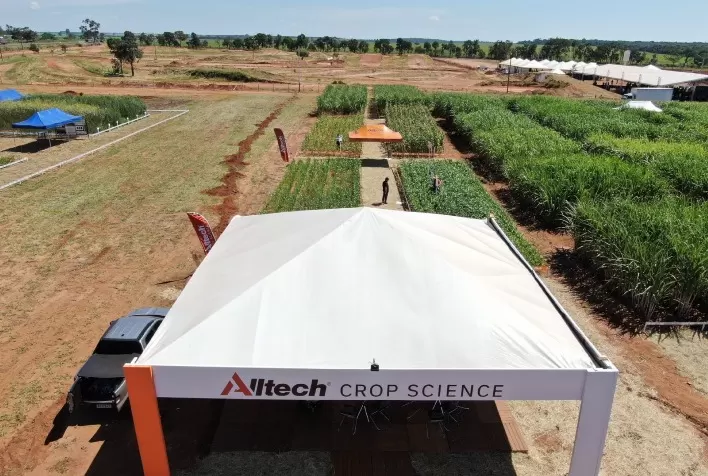 Soluções biotecnológicas regionais aceleram desenvolvimento da cana-de-açúcar