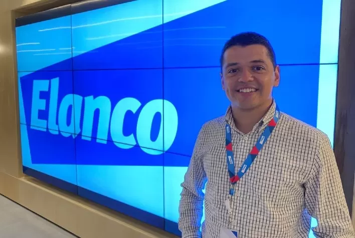 Calor e moscas: Elanco oferece controle integrado contra a incidência dos insetos em sua época de maior infestação