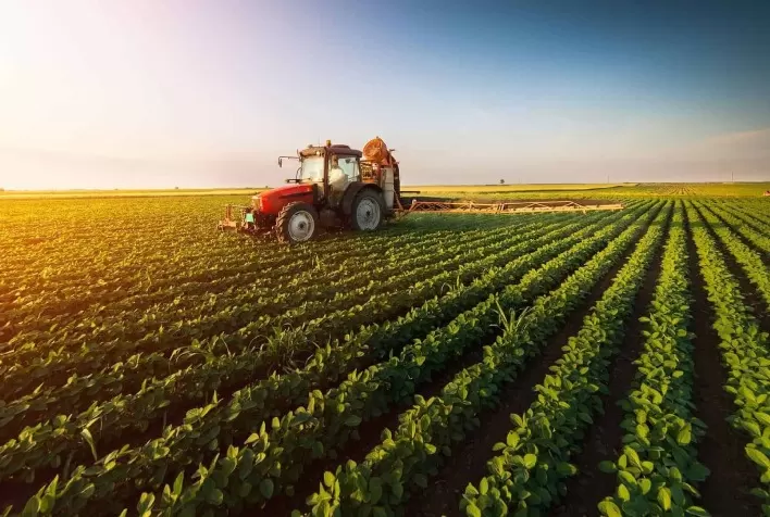 Mais de 70% dos agrotóxicos utilizados no Brasil são consumidos no Cerrado